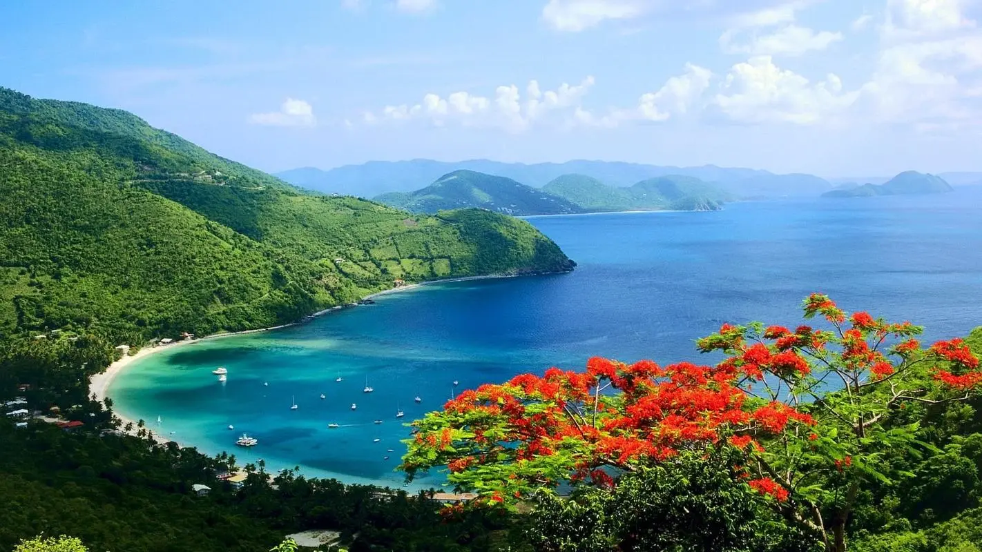 高效自动化全自动